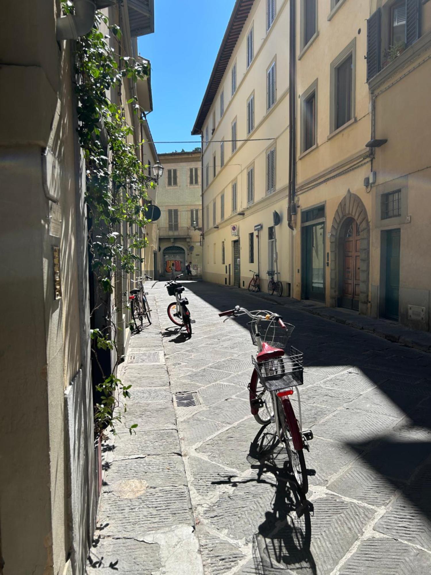 Santo Spirito Apartment Florencja Zewnętrze zdjęcie